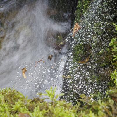 Source De La Bidouze01 Aout 2025r0002374