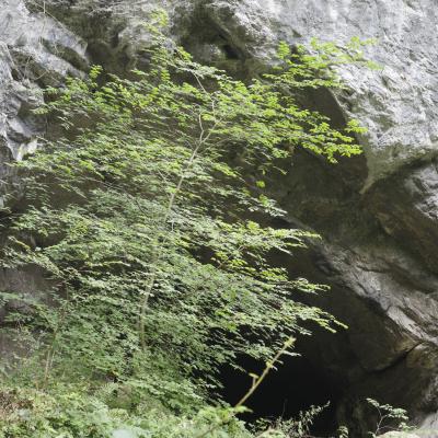 Source De La Bidouze01 Aout 2025r0002377