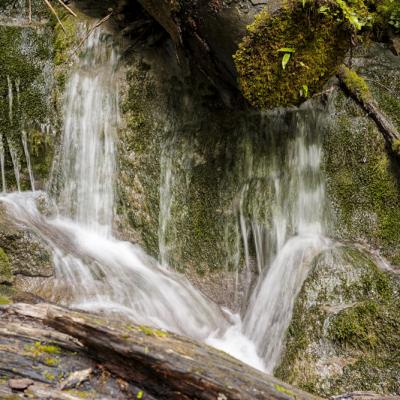 Source De La Bidouze01 Aout 2025r0002405 2