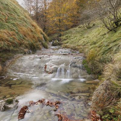 Harpea02 Novembre 20252c8a0029