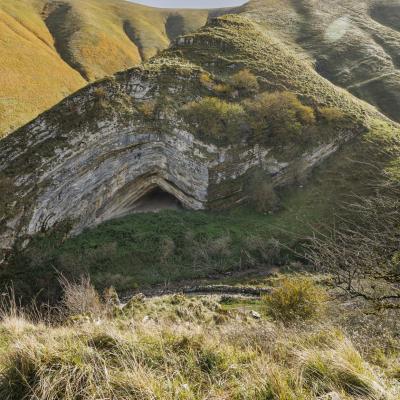 Harpea02 Novembre 20252c8a0063