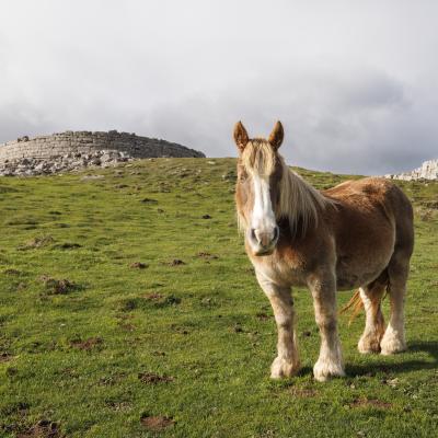 Urkulu02 Novembre 20252c8a0163