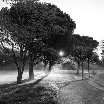 17102021 Belcodene0848 Modifier