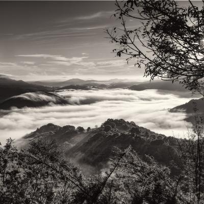 2c8a2346 Modifier Modifier Modifier Modifier