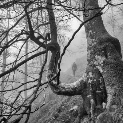 Autza16 Janvier 20252c8a9427