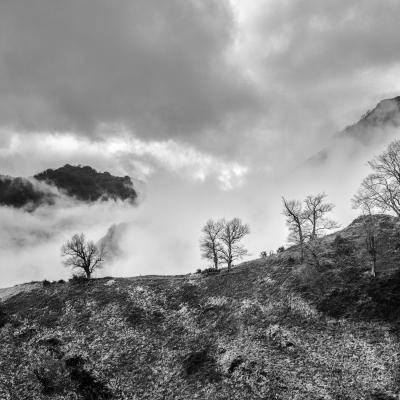 Autza16 Janvier 20252c8a9611