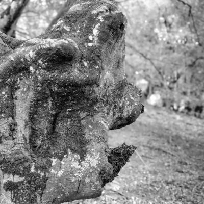 Baigoura26 Octobre 20252c8a9437 Modifier