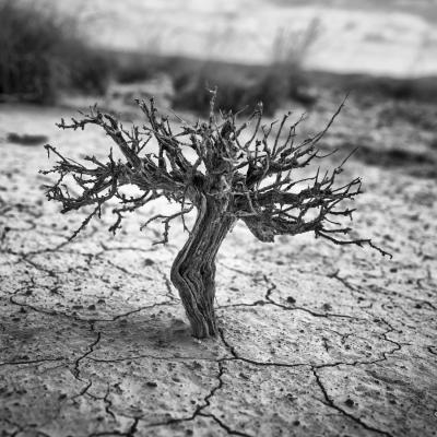 Dscf6927 Modifierbis