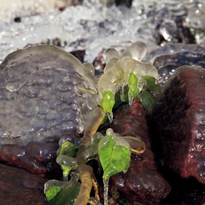  Mg 5325 En Tant Quobjet Dynamique 1