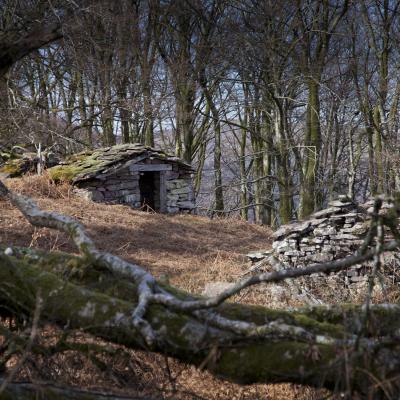  Mg 7247 En Tant Quobjet Dynamique 1