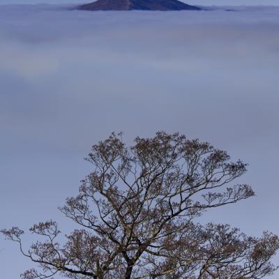  Mg 0601 En Tant Quobjet Dynamique 1