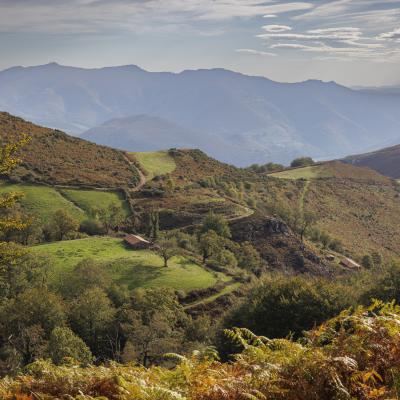 16102022 Famille Champignons0063