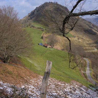 21032021 Iramendy0063