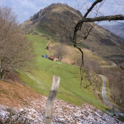 21032021 Iramendy0065