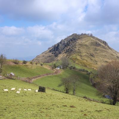 21032021 Iramendy0067