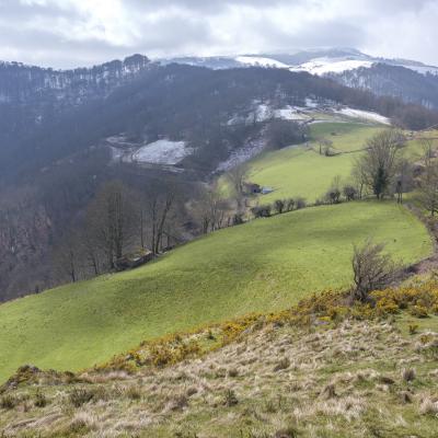 21032021 Iramendy0078