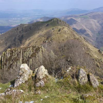 21032021 Iramendy0099