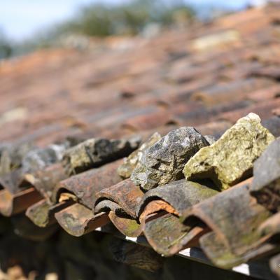 29082021 Baigoura0088