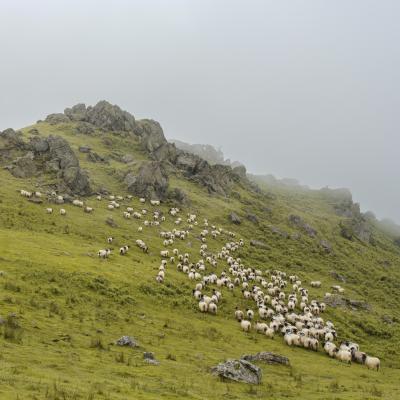 Dscf4832 Modifier Modifier