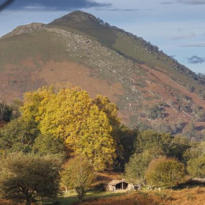 Atxuria10 Novembre 20252c8a0328