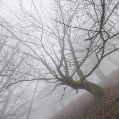 Autza16 Janvier 20252c8a9417