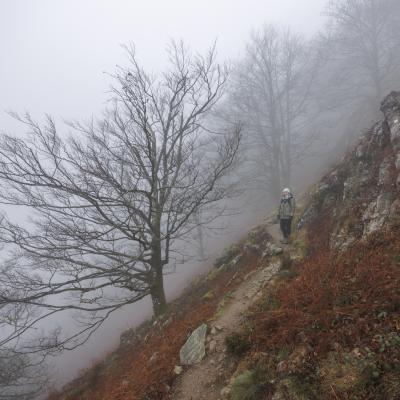 Autza16 Janvier 20252c8a9421