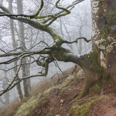 Autza16 Janvier 20252c8a9437