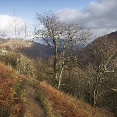 Autza16 Janvier 20252c8a9595