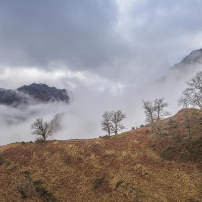 Autza16 Janvier 20252c8a9611