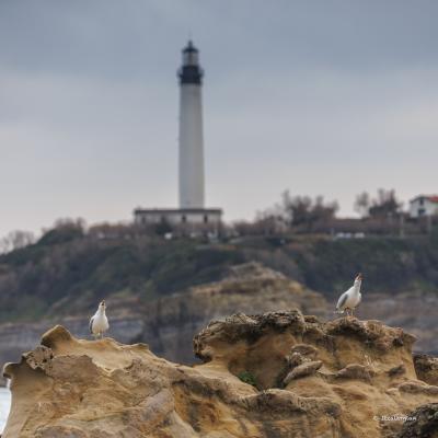 Biarritz05 Janvier 20252c8a9351