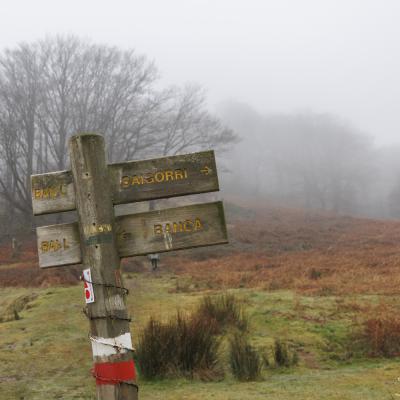 Autza Poteau16 Janvier 20252c8a9480