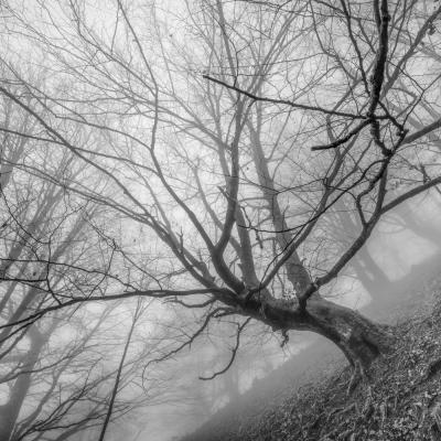 Autza16 Janvier 20252c8a9417