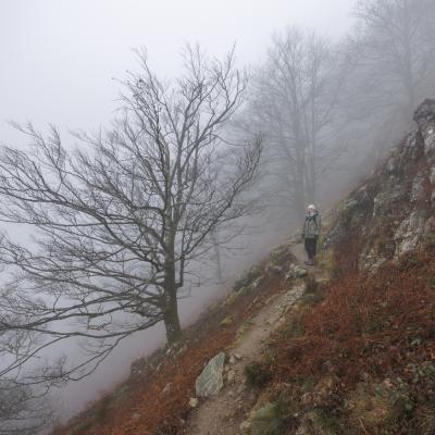 Autza16 Janvier 20252c8a9421