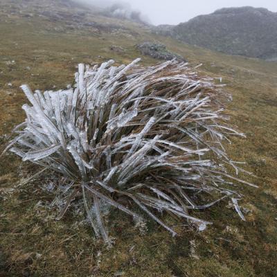 Autza16 Janvier 20252c8a9500