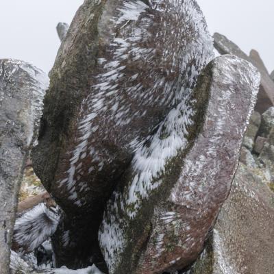 Autza16 Janvier 20252c8a9512