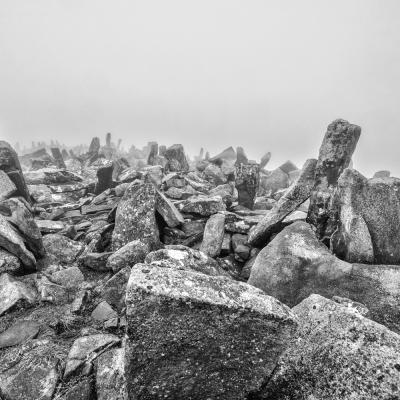 Autza16 Janvier 20252c8a9523