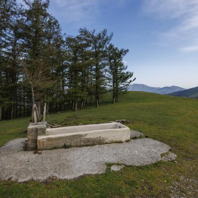 Mendaur11 Avril 20252c8a3274