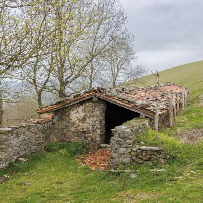 Mendaur11 Avril 20252c8a3508