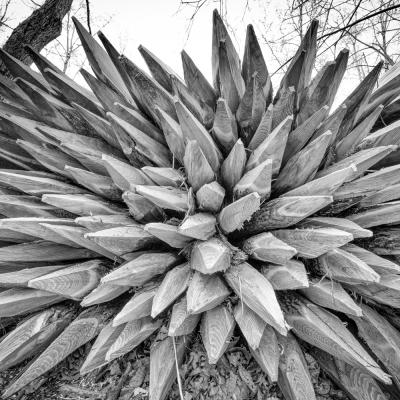 Mendaur11 Avril 20252c8a3581