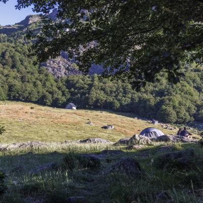 Lac D Ayous27 Juin 20252c8a0626