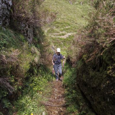 Irau09 Mai 20252c8a1783 2