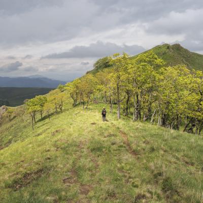 Irau09 Mai 20252c8a1816 2